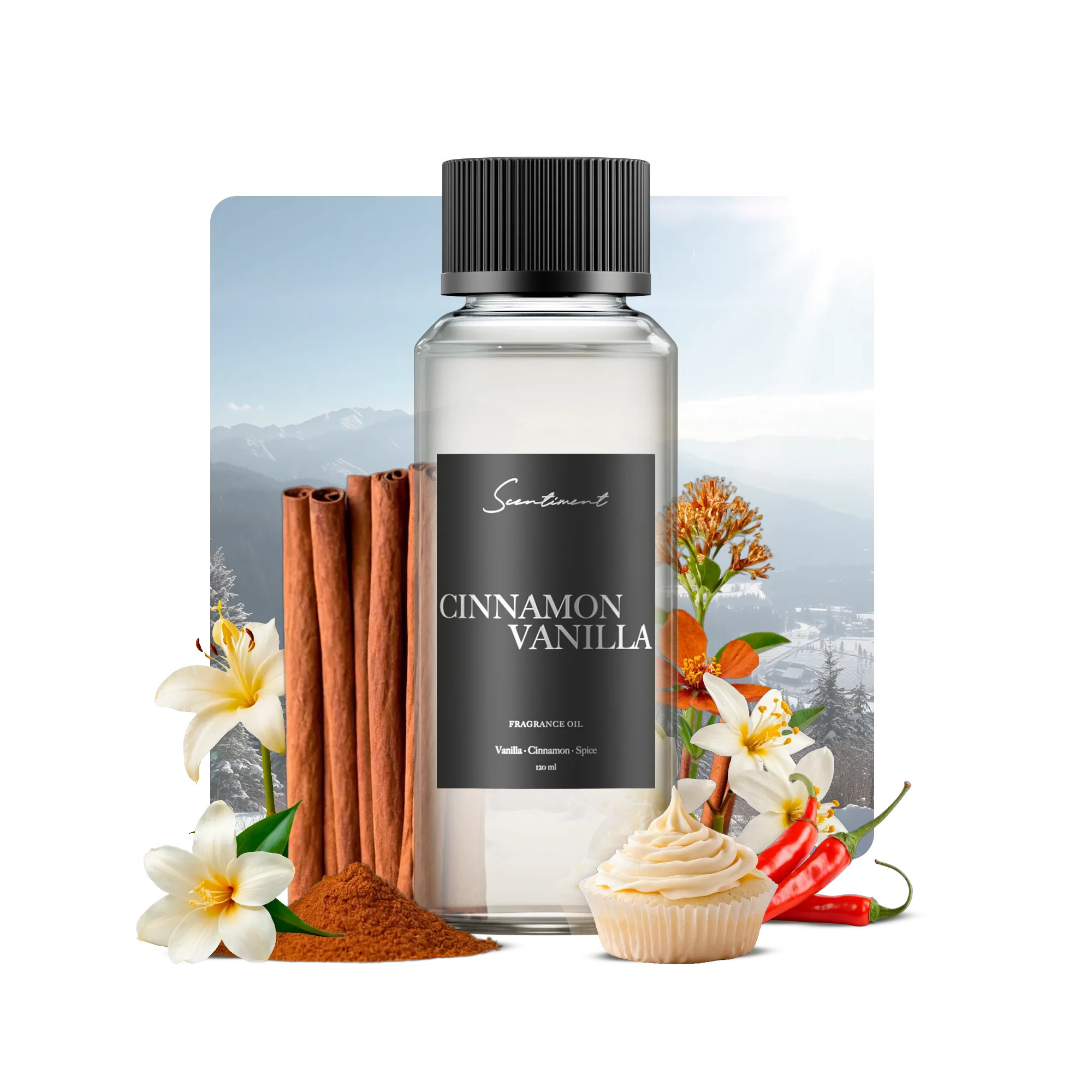 Cinnamon & Vanilla Fragrance Oil Perfume Scent | Scentiment