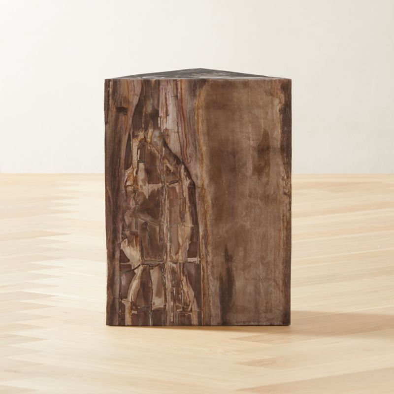 Tri Petrified Wood Side Table | CB2 | CB2