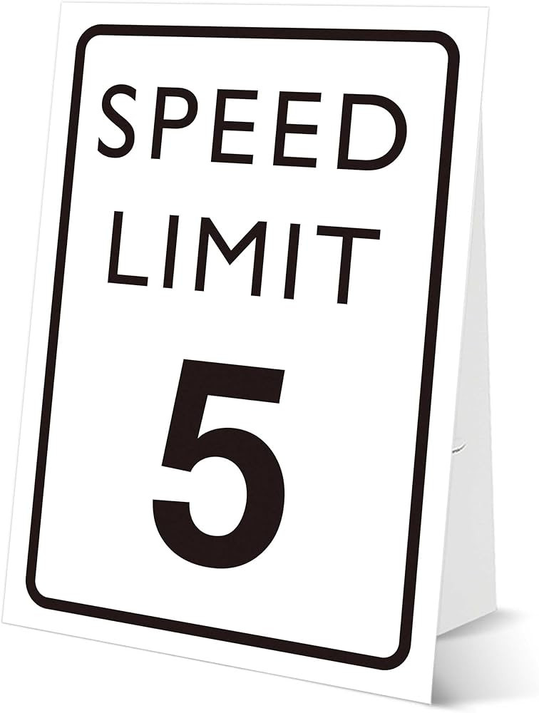 Race Car Birthday Sign, Speed Limit 5, 8×11 Sign with Stand, Route 66 Party Decorations | Amazon (US)