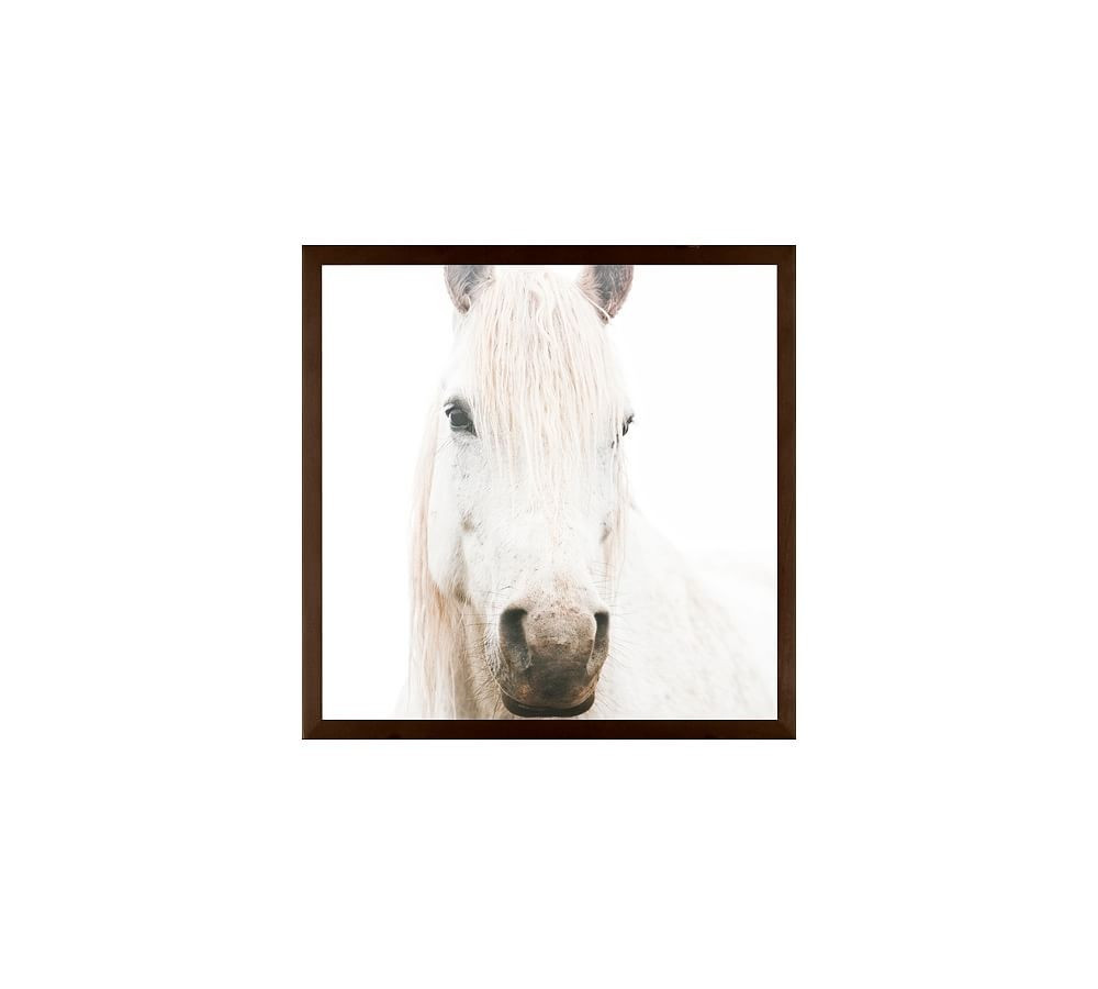 White on White Horse by Jennifer Meyers, 18 x 18&amp;quot;, Wood Gallery, Espresso, No Mat | Pottery Barn (US)