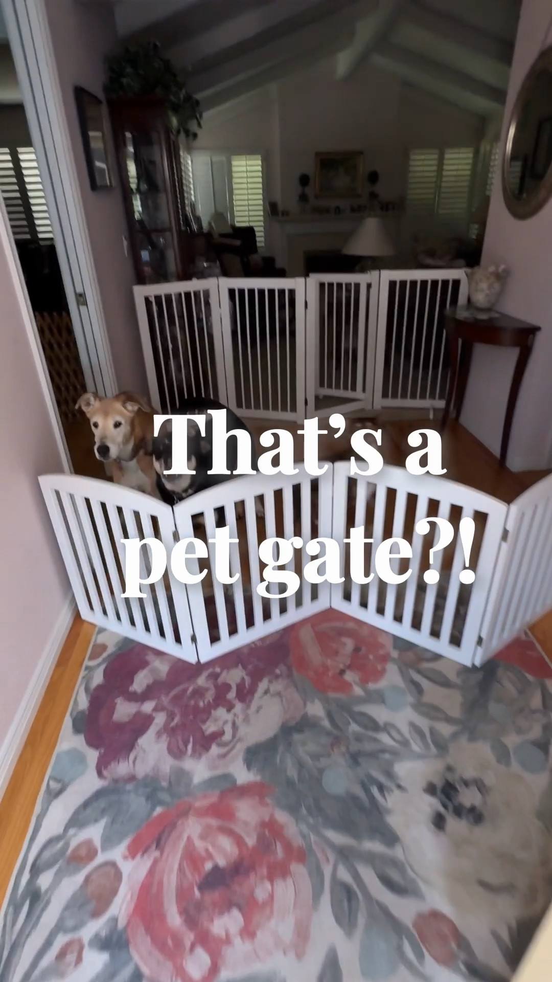 This gate sits right in our front entry.
 We needed something to keep the dogs from scratching the door, and I didn’t want to damage the walls. This works perfectly because it actually looks nice and does the job.

🏠 I share real-life decor, home finds, and organization for spaces that are pretty, not perfect. 💫


#LTKdayinmylife #LTKHome