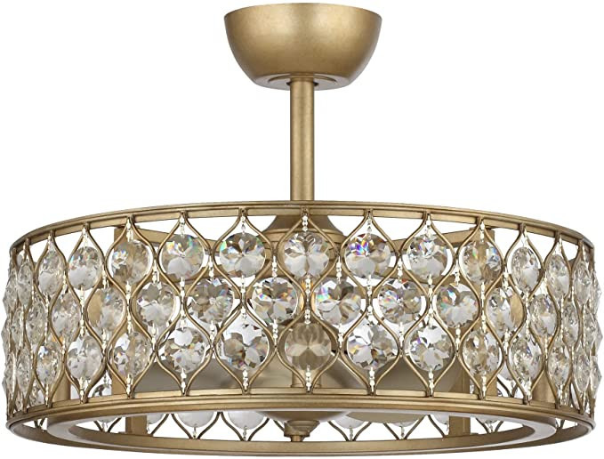 Parrot Uncle Ceiling Fans with Lights and Remote Modern Chandelier Ceiling Fan with Light Bladele... | Amazon (US)