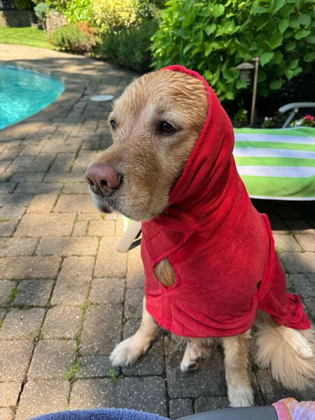Amazon wearable dog towel