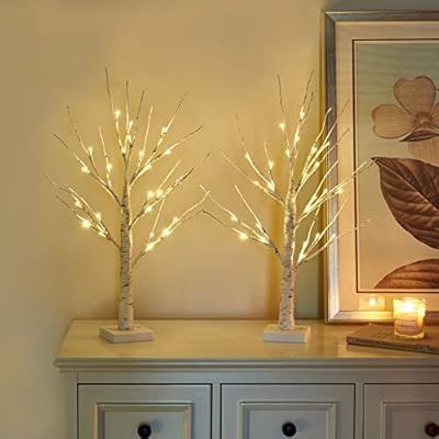 Vanthylit 2FT 24LT Pre-lit White Birch Tree Decorative Light Tabletop-Set of 2 | Amazon (US)