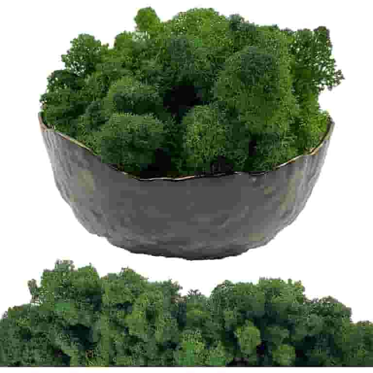 Moss Preserved Artificial Moss 8.8 oz Natural Fresh Green Moss for Craft Arts Floral Project Wall... | Walmart (US)