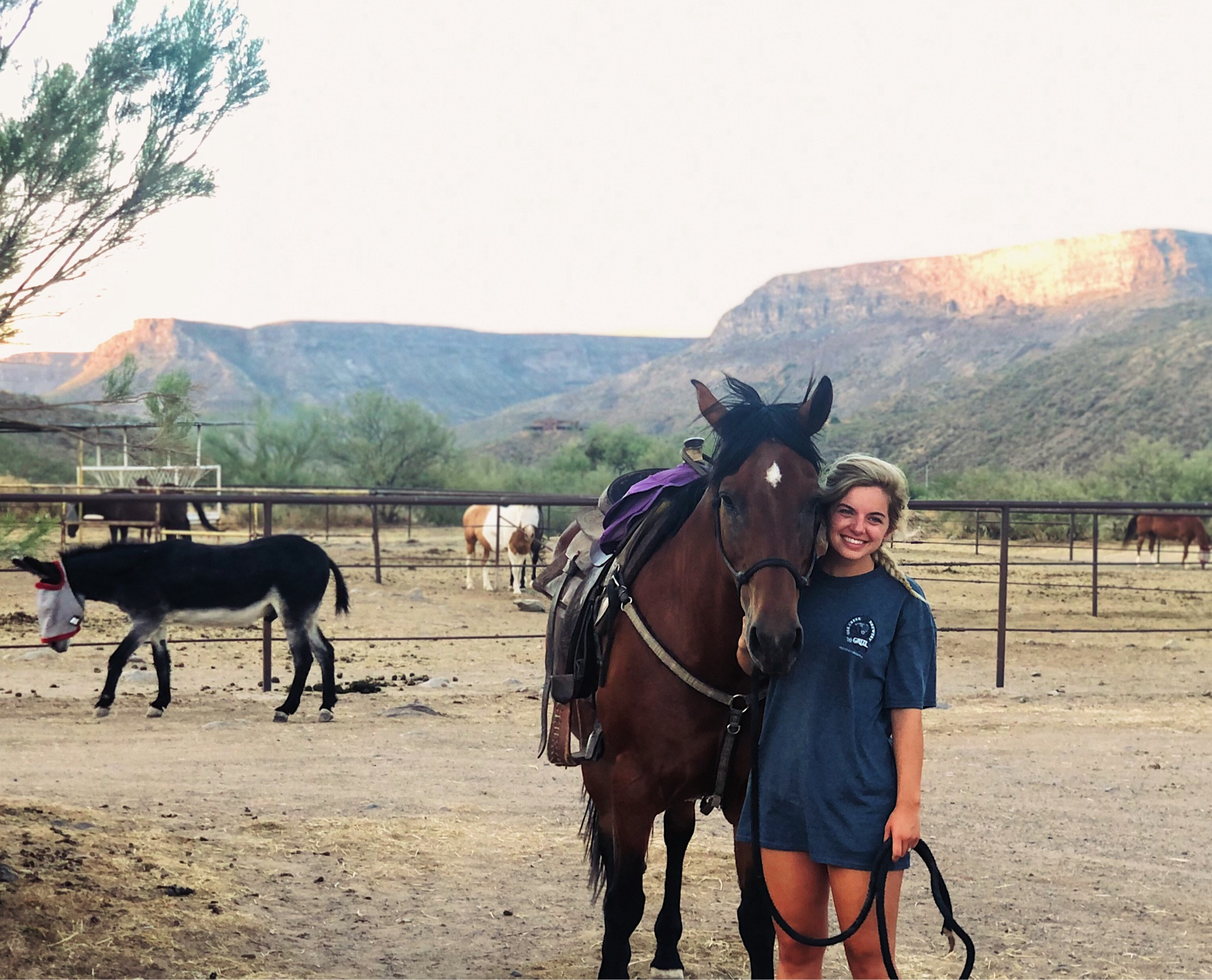 Arizona favs. Hiking essentials. Riding essentials. Pool day affordable favs  

#LTKTravel #LTKSwim #LTKFamily