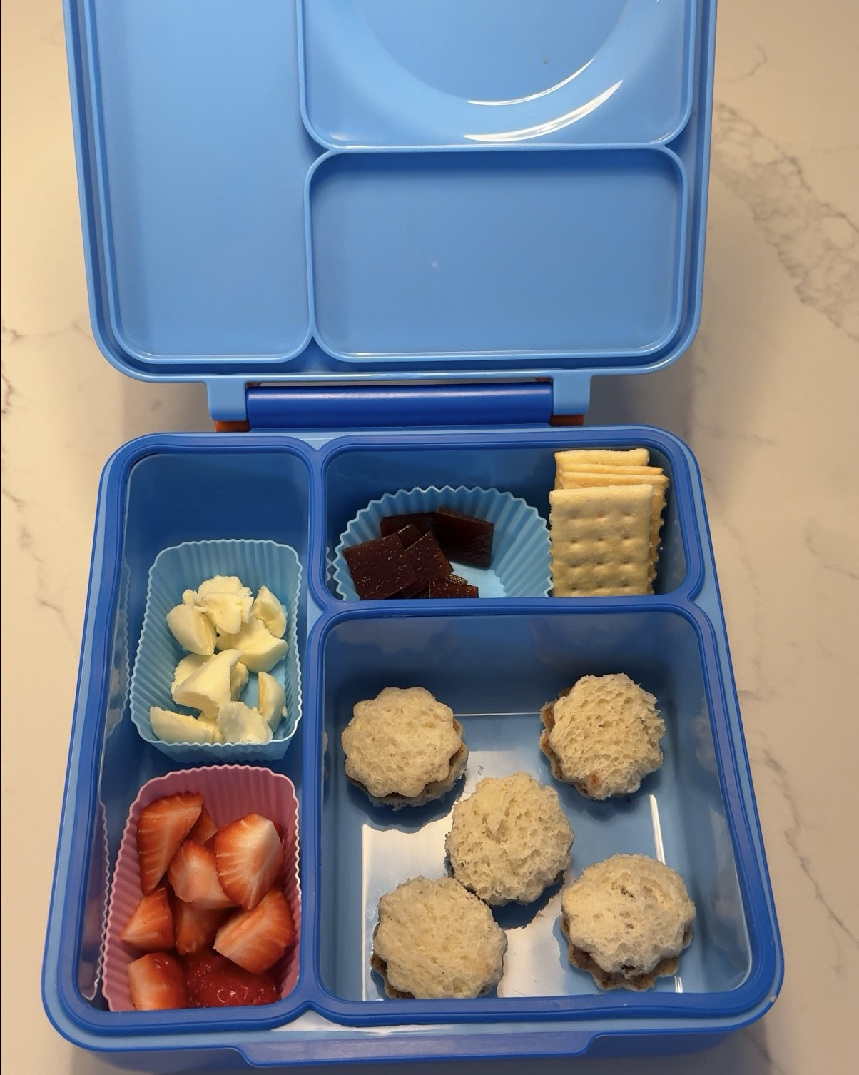 Toddler lunch box 