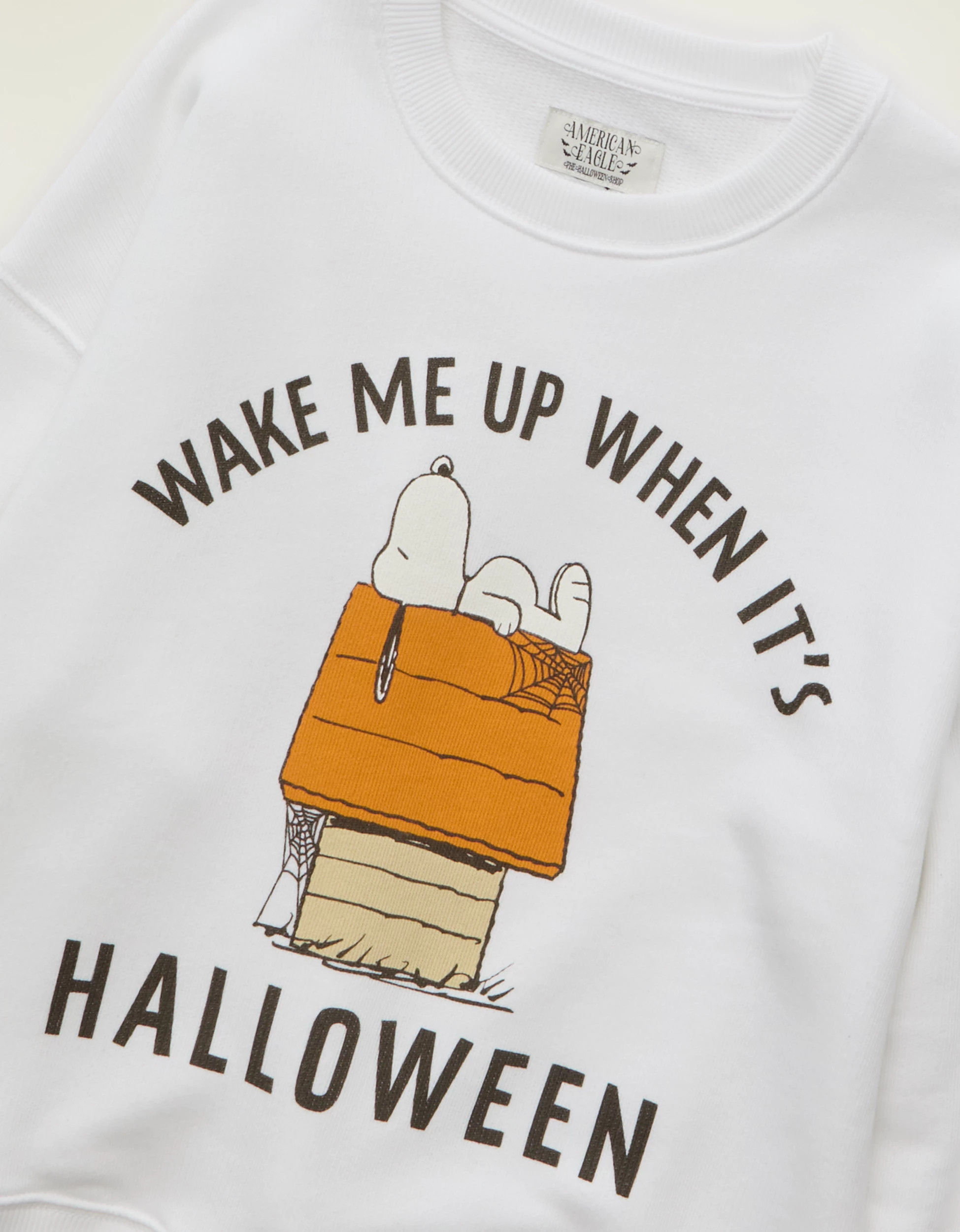 AE Peanuts Halloween Graphic Sweatshirt | American Eagle Outfitters (US & CA)