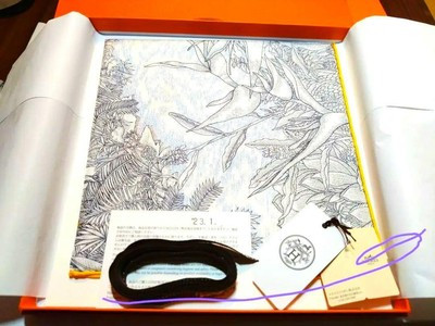 Hermes Gavroche 45 Faubourg Tropical Detail 2023Ss  | eBay | eBay US