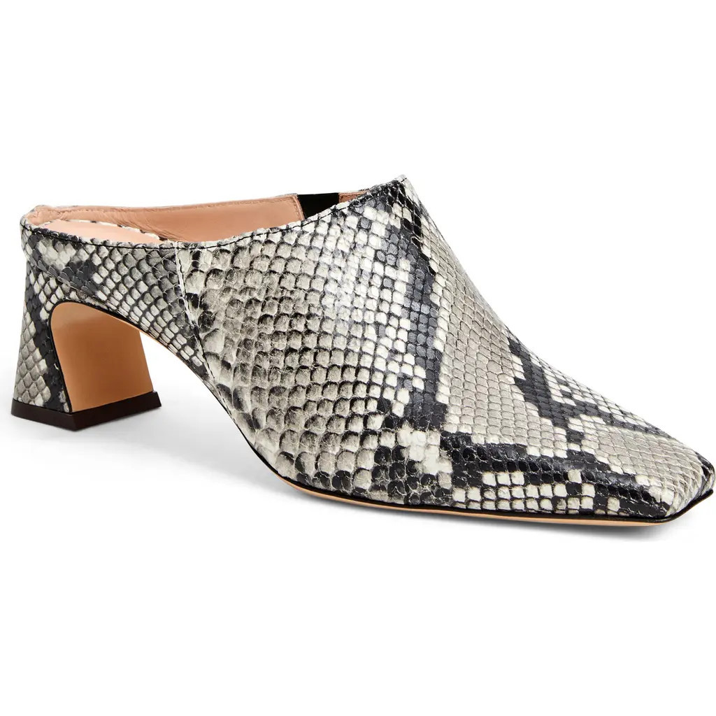 Bruno Magli Fran Mule in Black/white Snake at Nordstrom, Size 7 | Nordstrom