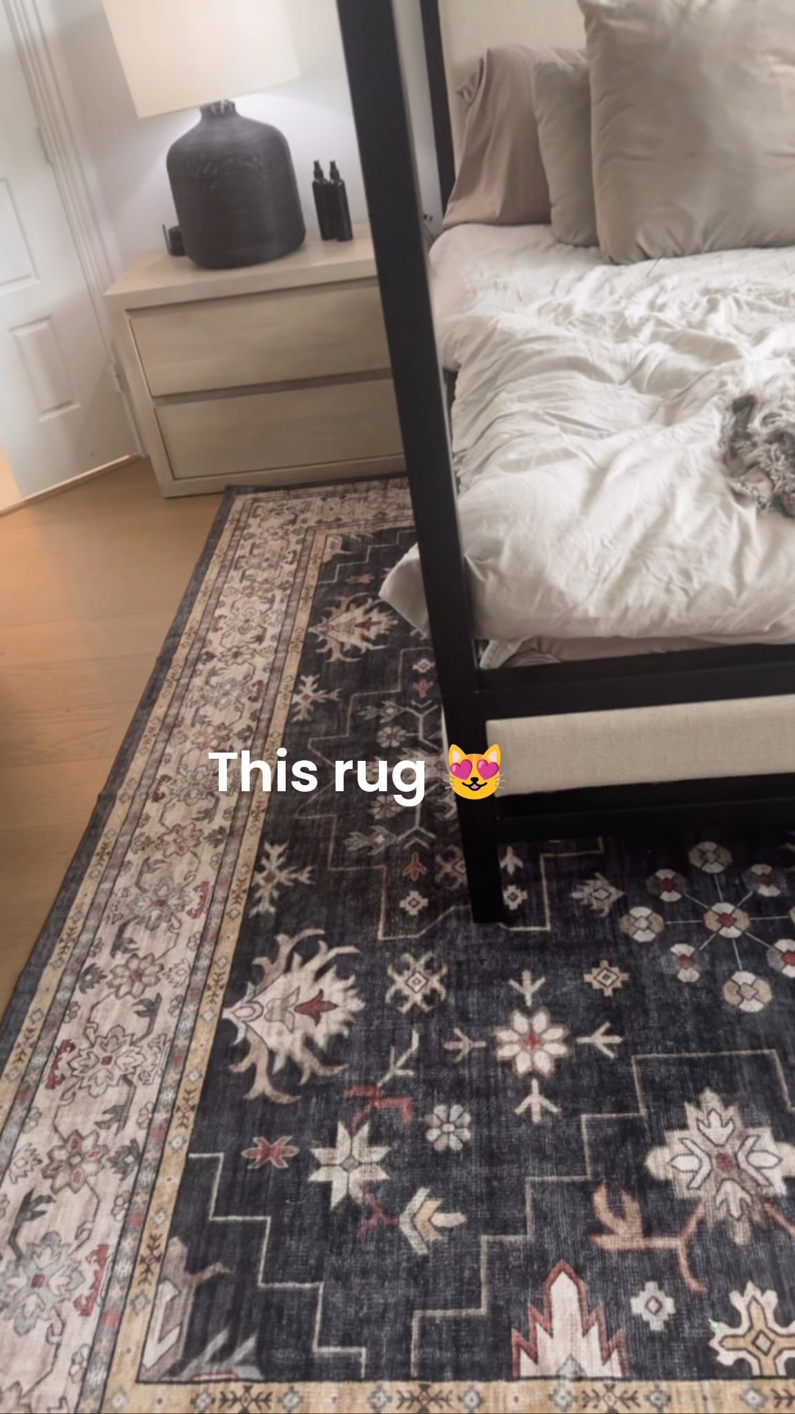 Modern moody black rug #rugs #modern #homedecor #amazon

#LTKHome