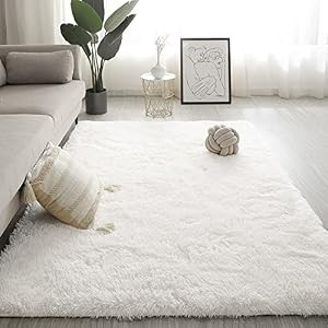 Wellber Modern Soft Shaggy Rugs Fluffy Home Decorative Carpets, Rectangle Durable Plush Fuzzy Area R | Amazon (US)