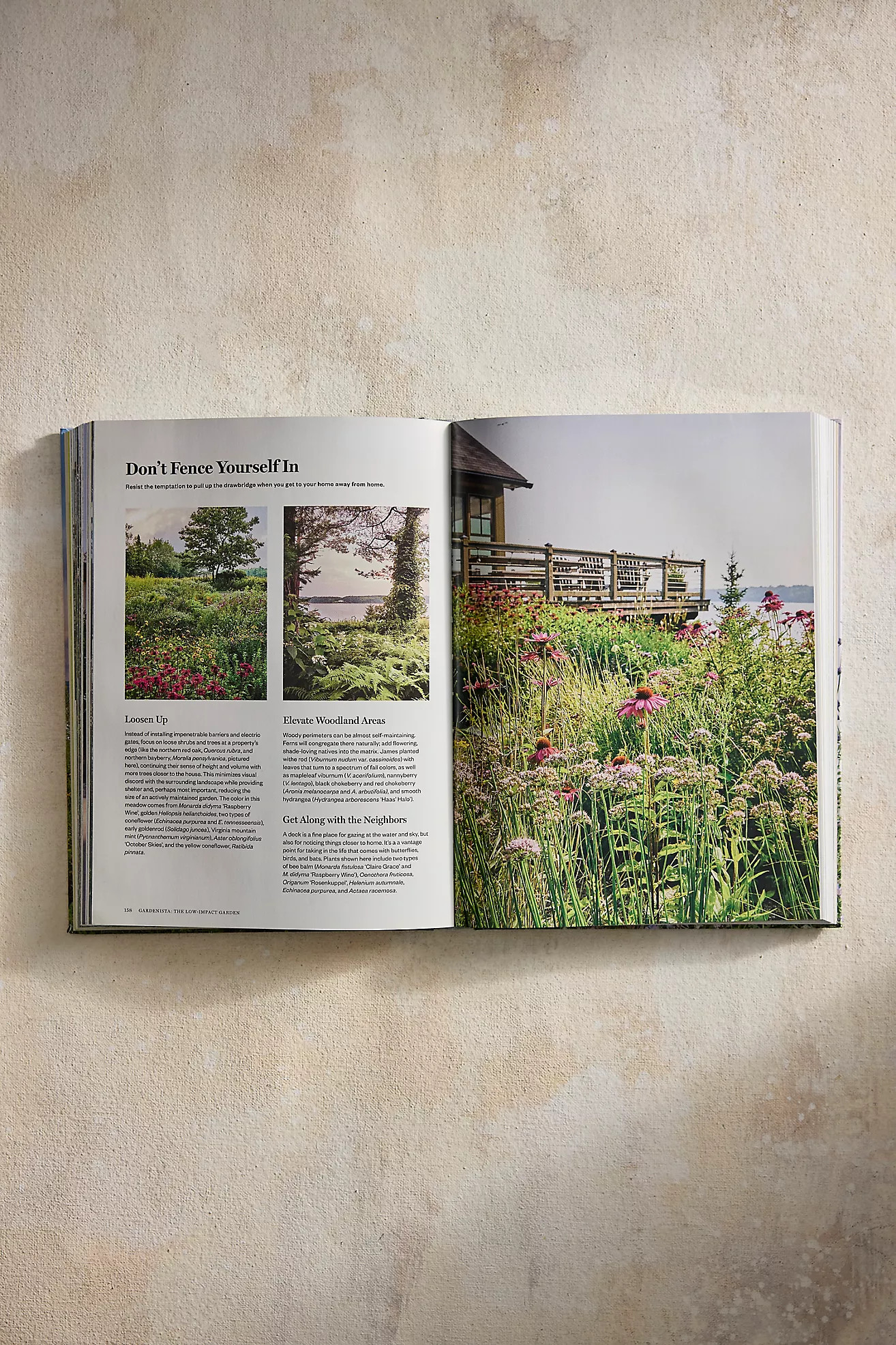 Gardenista: The Low-Impact Garden | Terrain