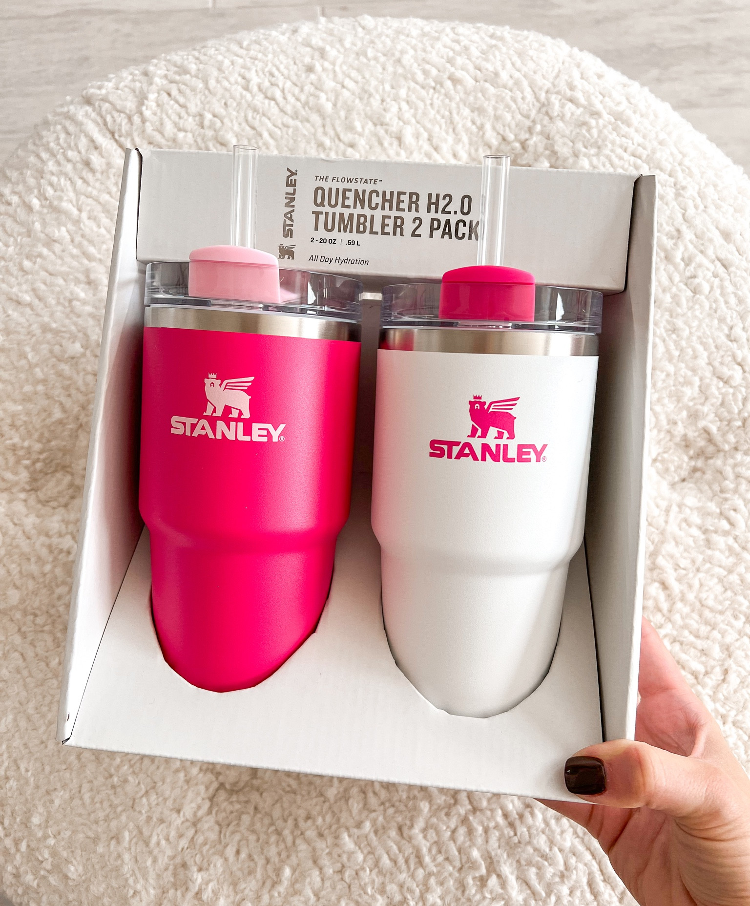 Stanley 2 Pack 20oz Stainless Steel Adventure Quencher Travel Tumblers