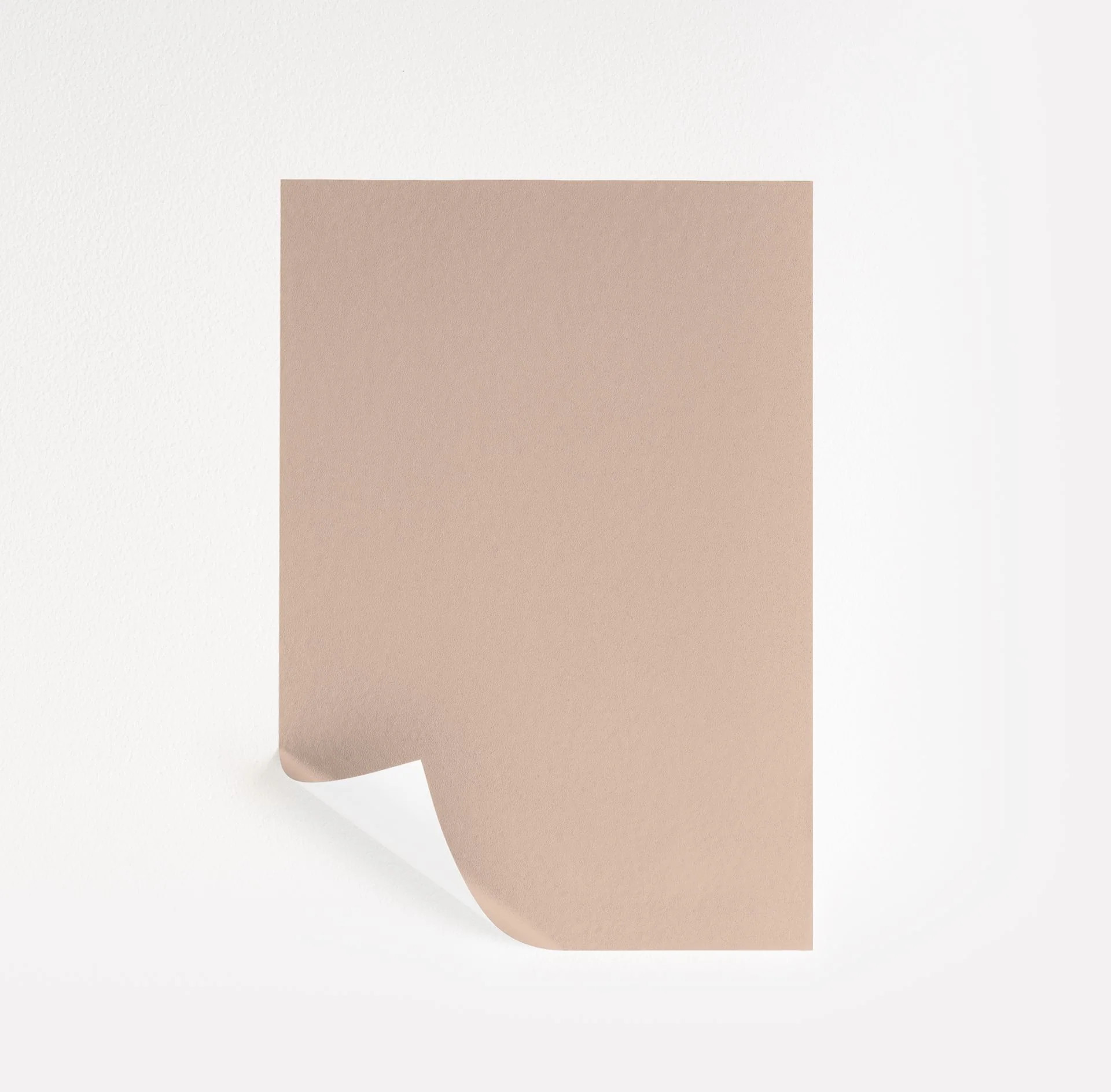 Setting Plaster Paint Sample by Farrow & Ball (231) | Peel & Stick Paint Sample | Samplize