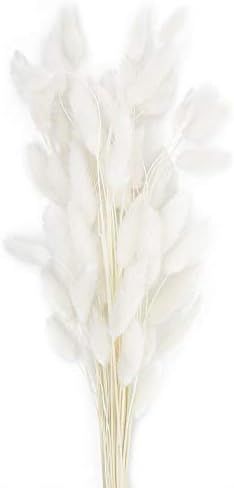 60 Stems Natural Dried Lagurus Ovatus Flowers |Real Bouquet with Rabbit Tail Dried Pampas Flowers... | Amazon (US)