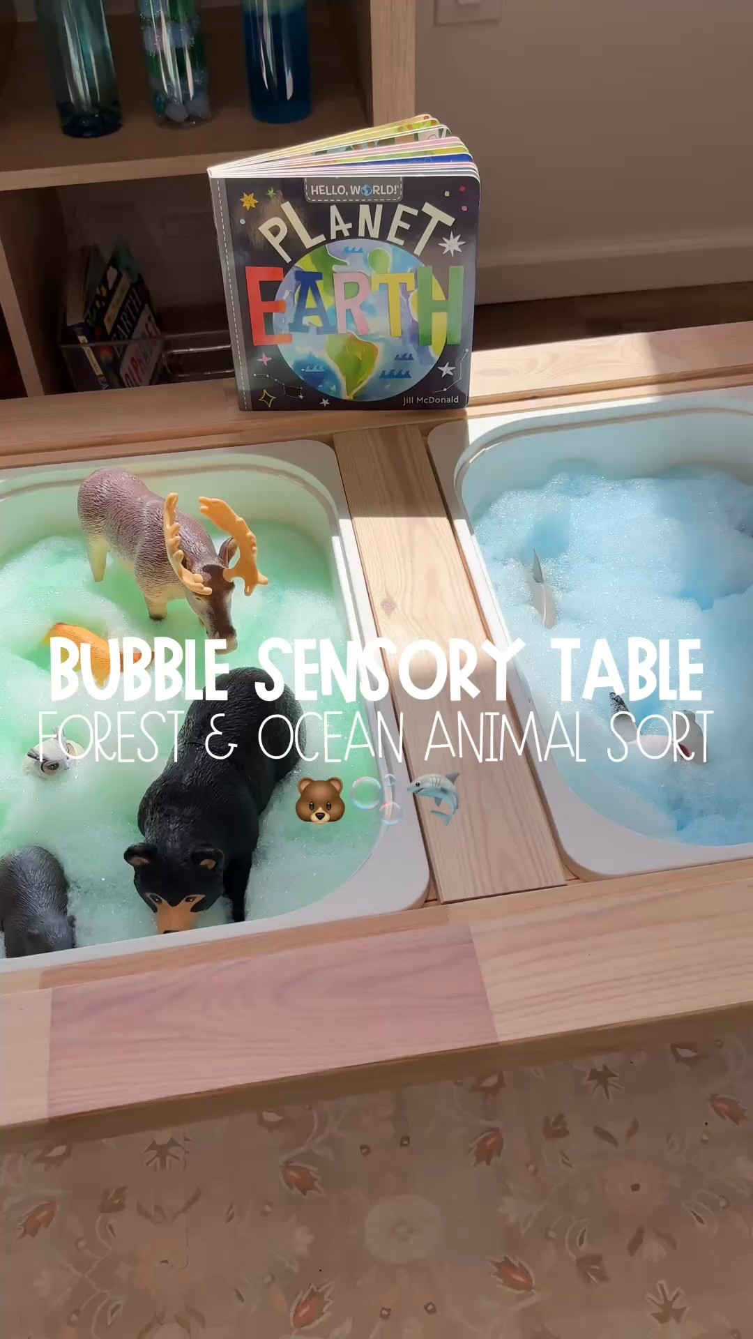 Bubble Sensory Table: Forest & Ocean Animal Sort! 🐻🫧🦈 

We are keeping up with some Earth Day fun the rest of this week and today we are talking about sorting forest and ocean animals! 🌎

@habausa sent over their bubble bath whisk and did you know it’s so fun to play with outside the bath too! The whisk is perfect for making the BEST bubbles for the sensory table! 🫧You can find the bubble whisk link in my linktree! 🫧

Bubble Recipe:
🫧1 cup of water
🫧3 tablespoons shampoo/body wash soap
🫧 a few drops of food coloring 

Mix everything together and you get the perfect bubble sensory table filler! I did the recipe twice so that I could create the 2 different colors for our sensory table, but you can do this sensory table activity with any colors and any theme! Or you don’t even have to color it and just make the bubbles and throw in some scoops and spoons to play with! 

#toddleractivities #earthdayactivities #toddlersensoryplay #earthday #lowprepactivities #habatoys #HABAFavorites #habausa

#LTKKids #LTKFamily #LTKSeasonal