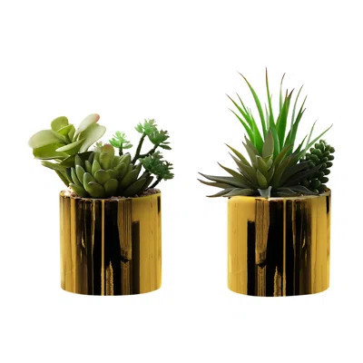 7" Tall Faux Succulent Of 2 In Potted Glossy Gold Style For Indoor Table And Shelf Decor With A Pop Decorative Arrangement | Wayfair North America