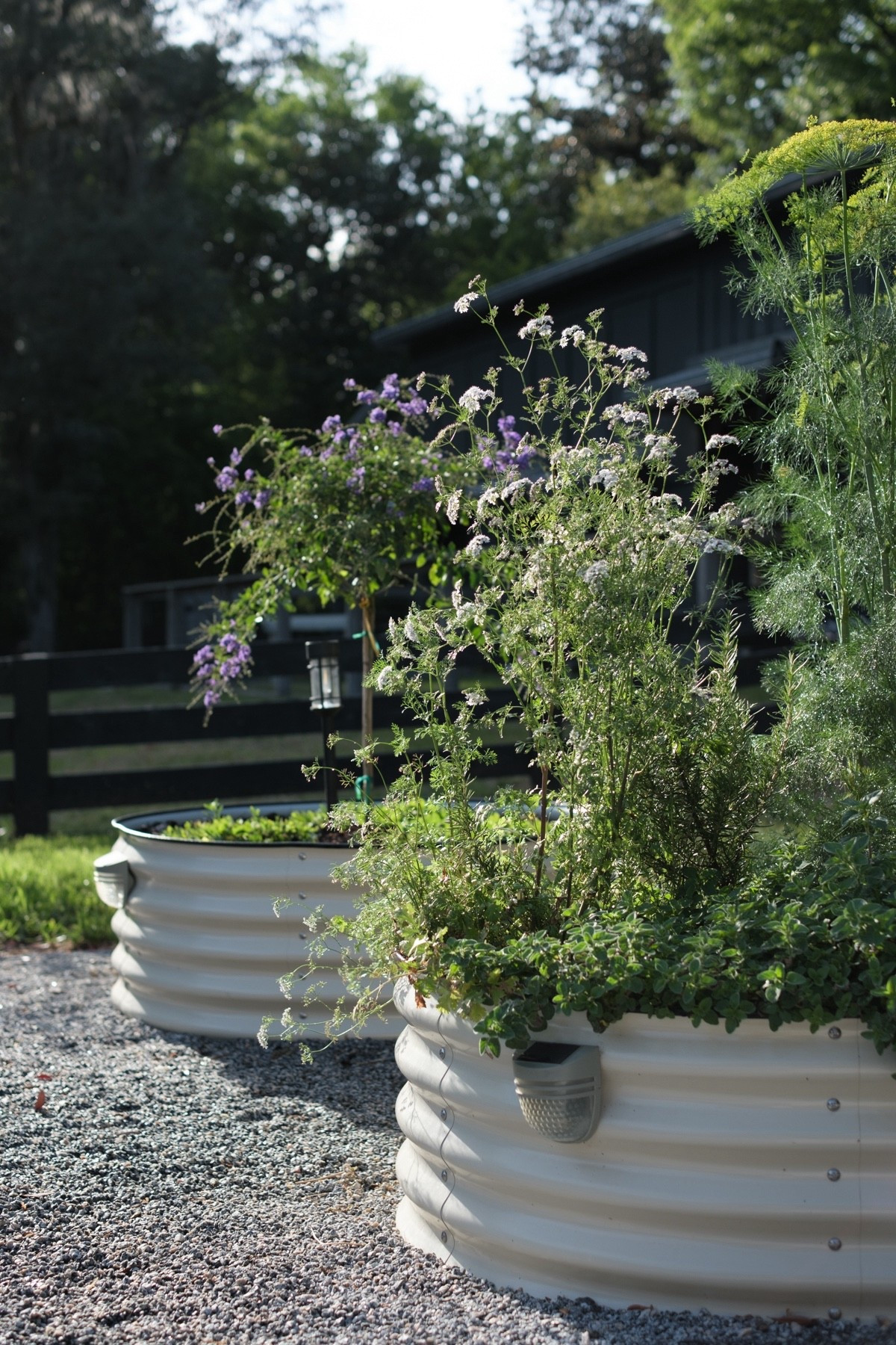 Round raised garden beds for herbs 🌿  

#LTKSeasonal