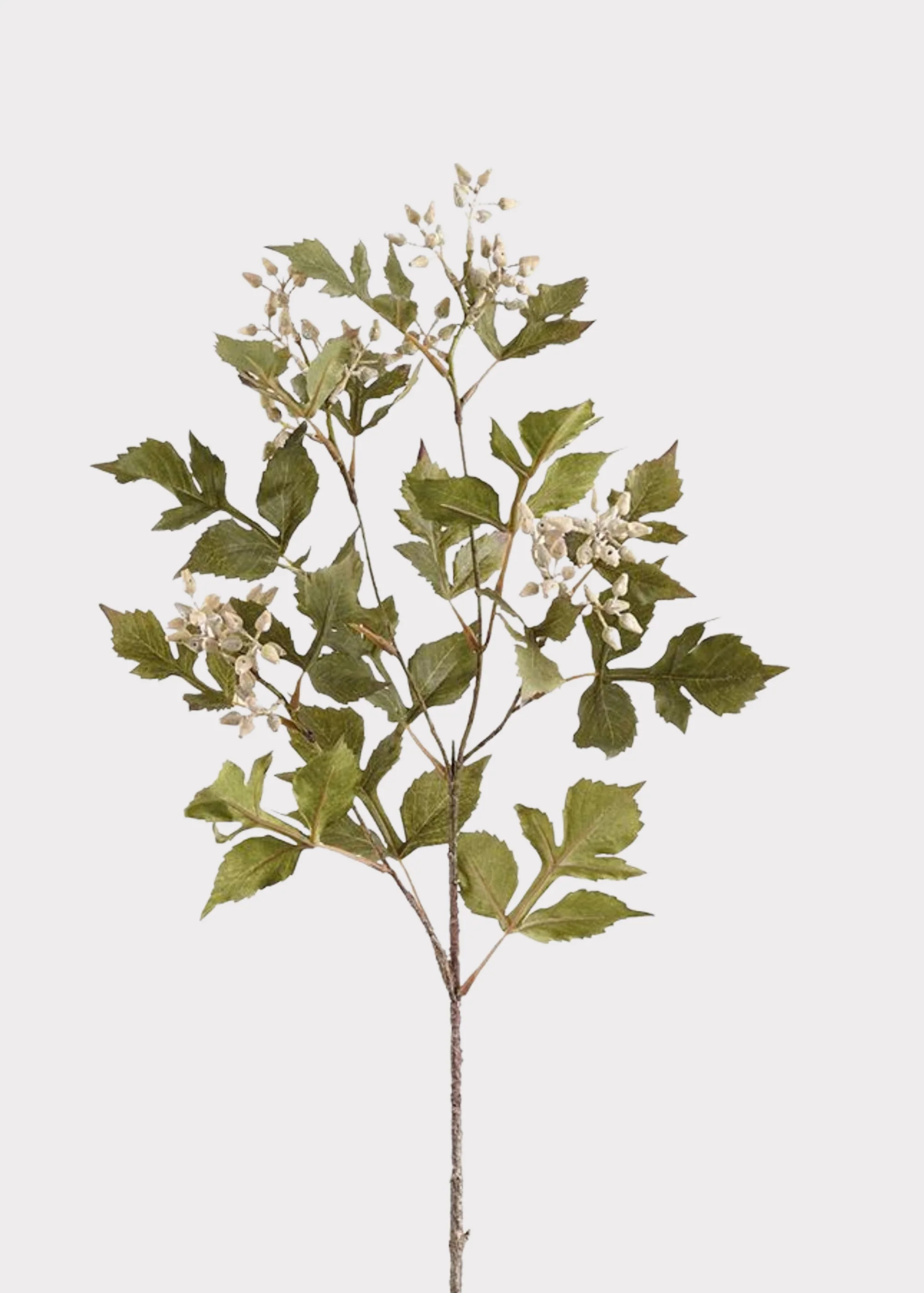 Fake Seeded Ash Leaf Branch in Cream Green - 33" | Afloral