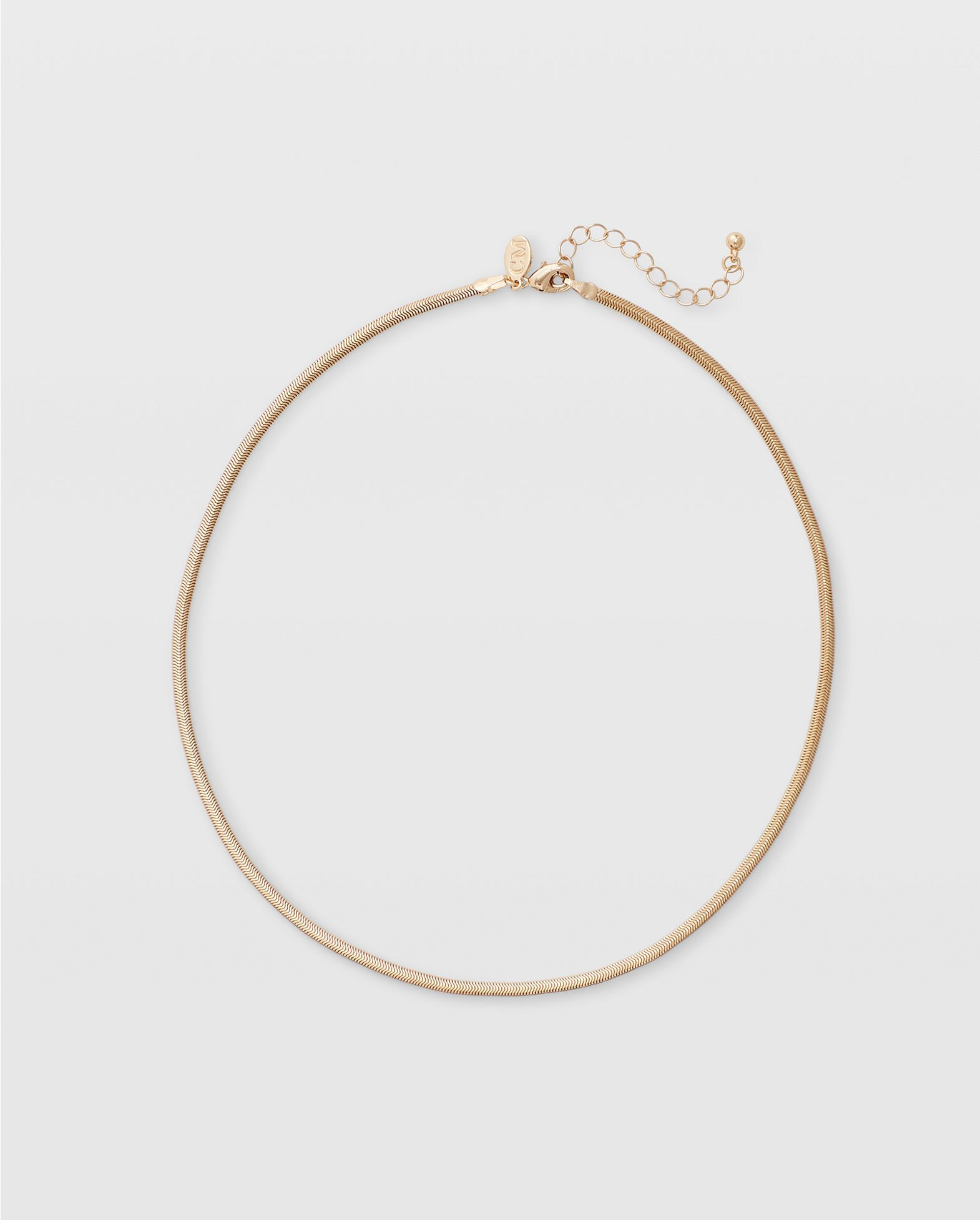Short Snake Chain Necklace | Club Monaco (Global)
