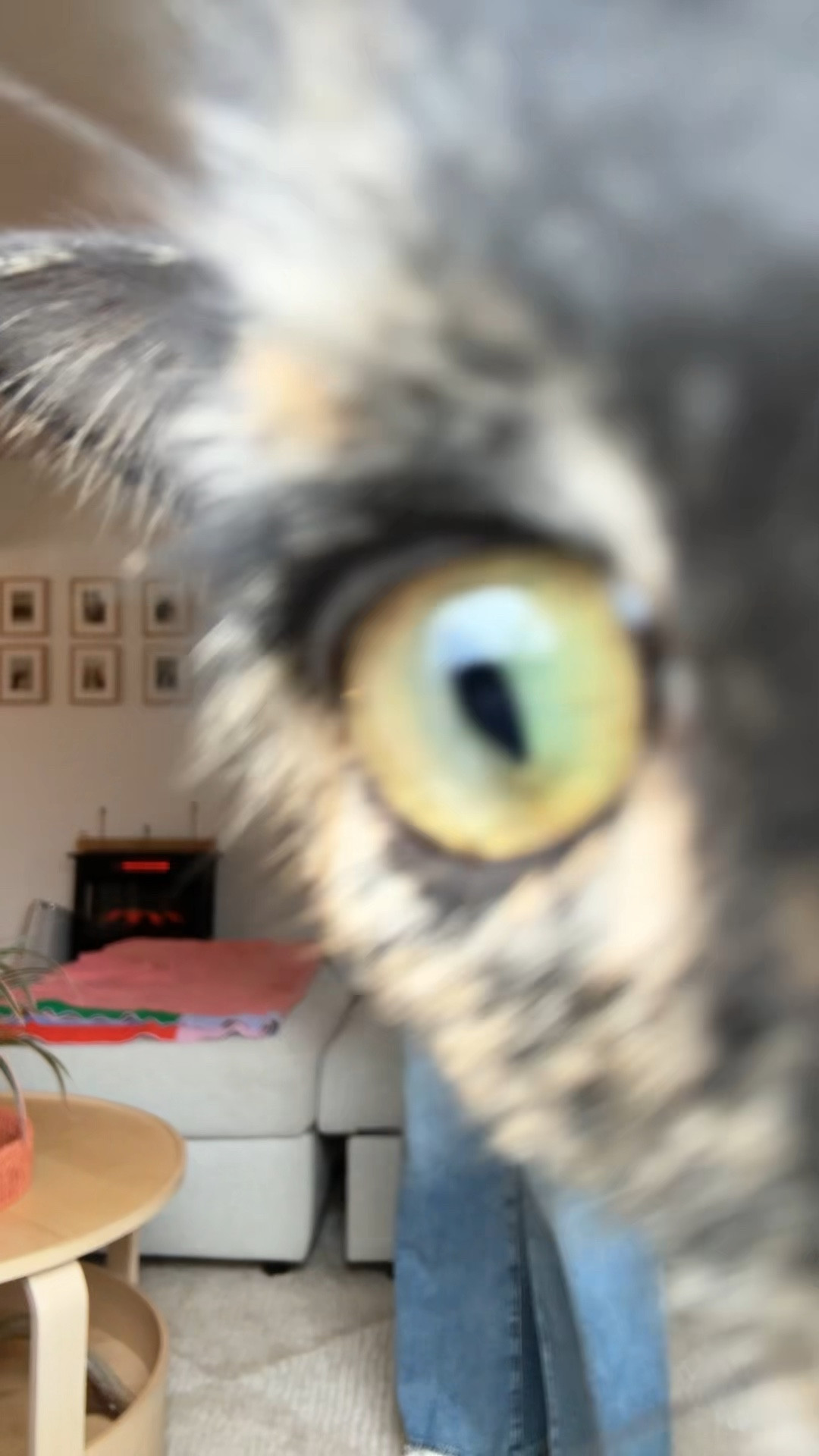 I can’t with Marnie’s eye