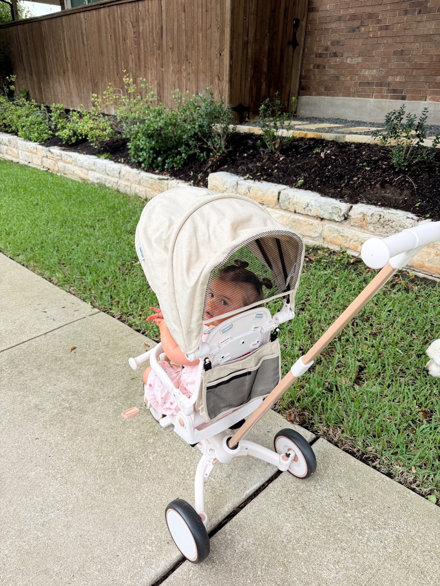 Toddler trike Capri is obsessed with

#LTKmomlife #LTKSaleAlert #LTKKids