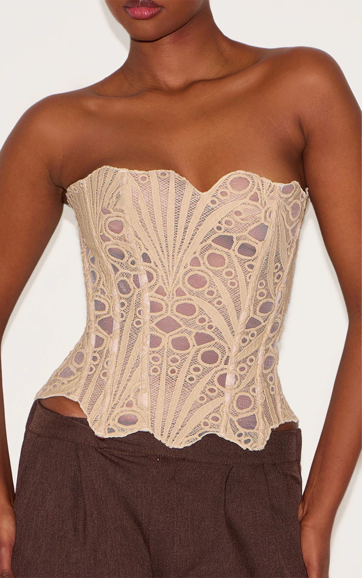 Almond Textured Sheer Floral Lace Corset | PrettyLittleThing IE