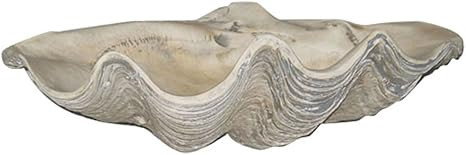 House Parts Large Clam Shell | Amazon (US)