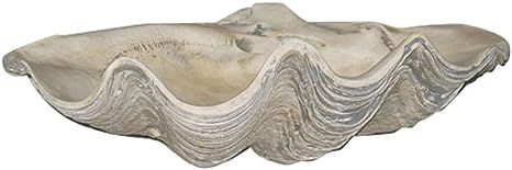 House Parts Large Clam Shell | Amazon (US)