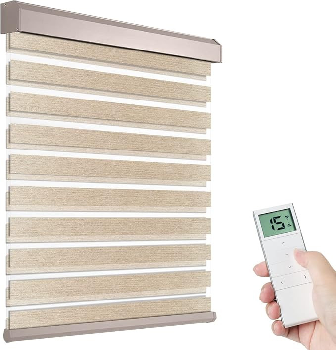 Motorized Zebra Shade with Remote Control, Electric Dual Layer Sheer Roller Shades Work with Alex... | Amazon (US)