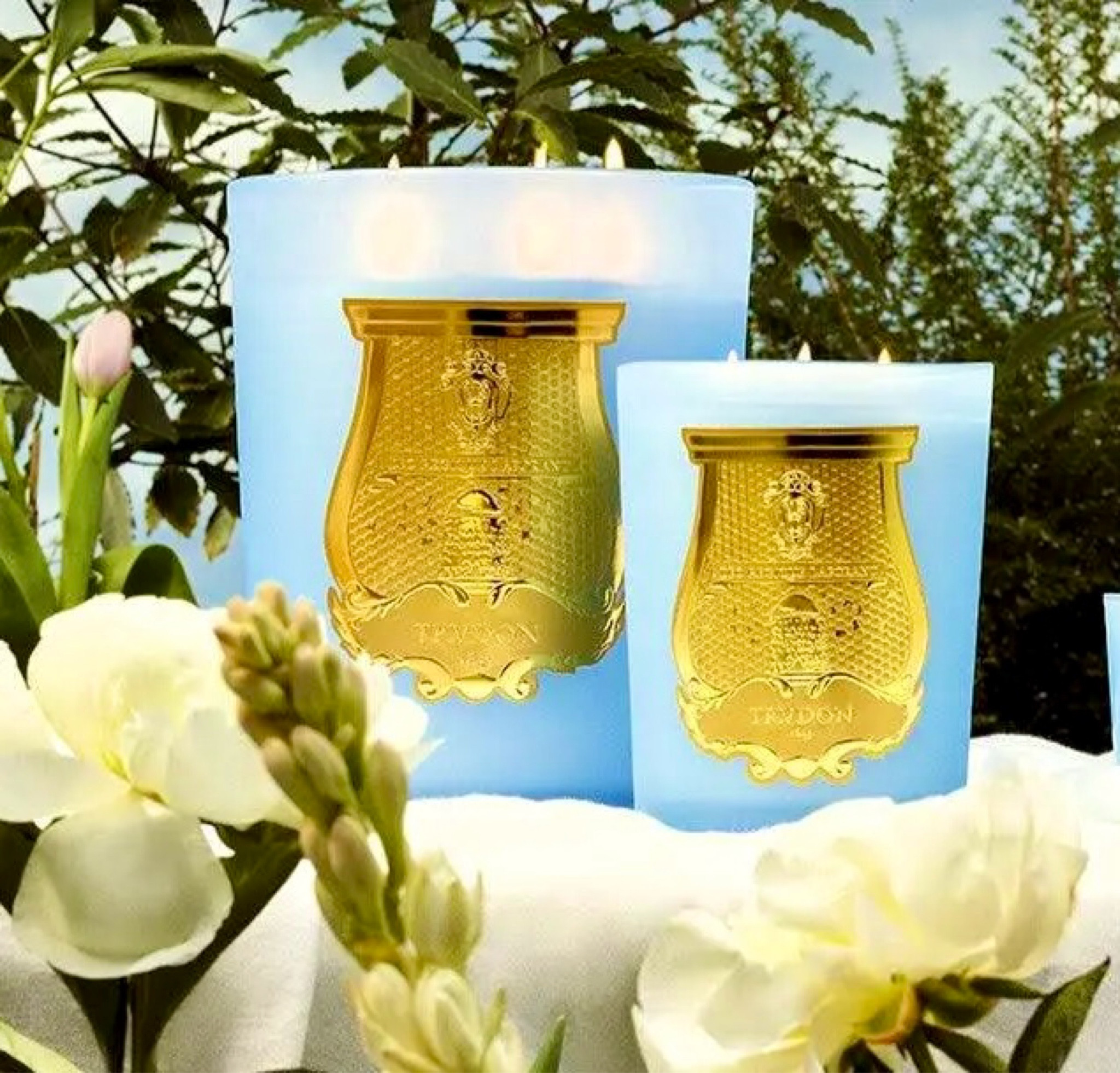 If you love Trudon, this could be the summer candle for you. #versailles #candlees

#LTKhome