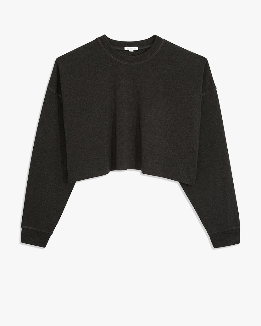 Cropped Sweatshirt | We Wore What