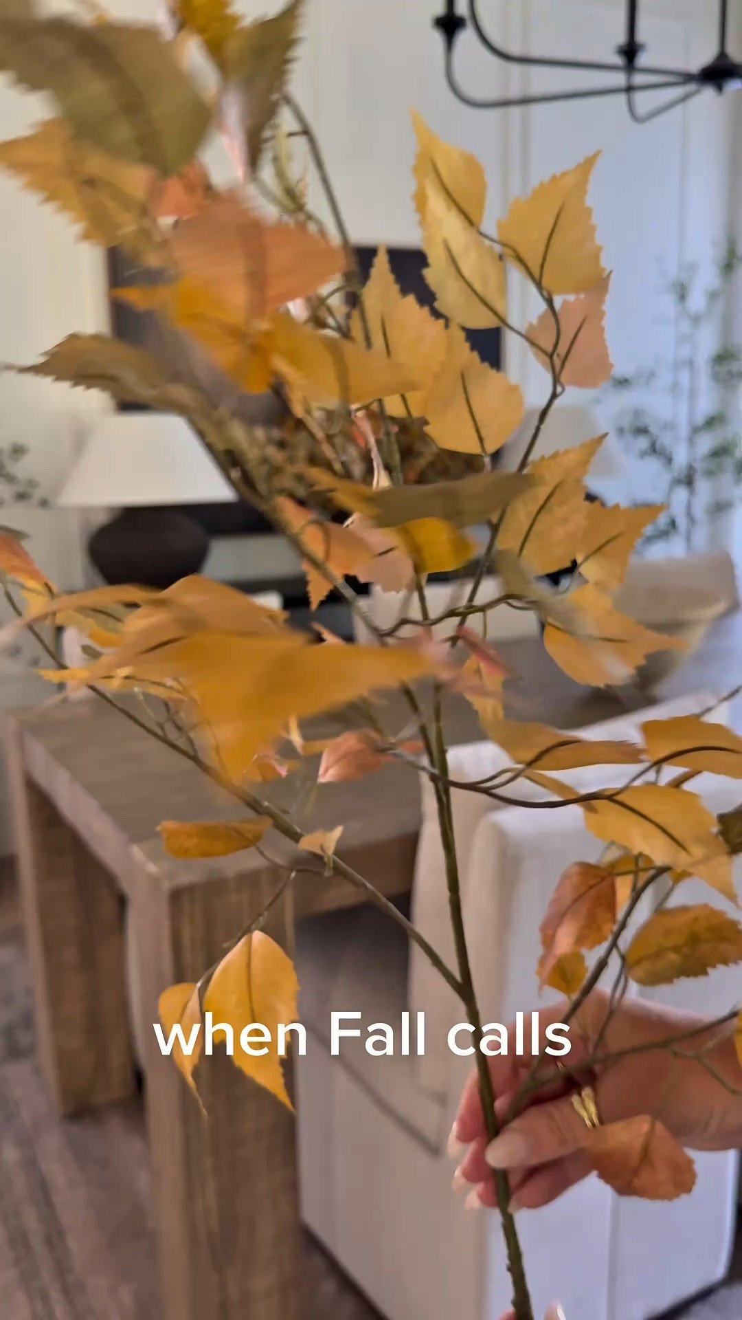 A perfect stem for Fall
Realistic and natural! AND affordable..new this season at Target 
Home decor 
Neutral home