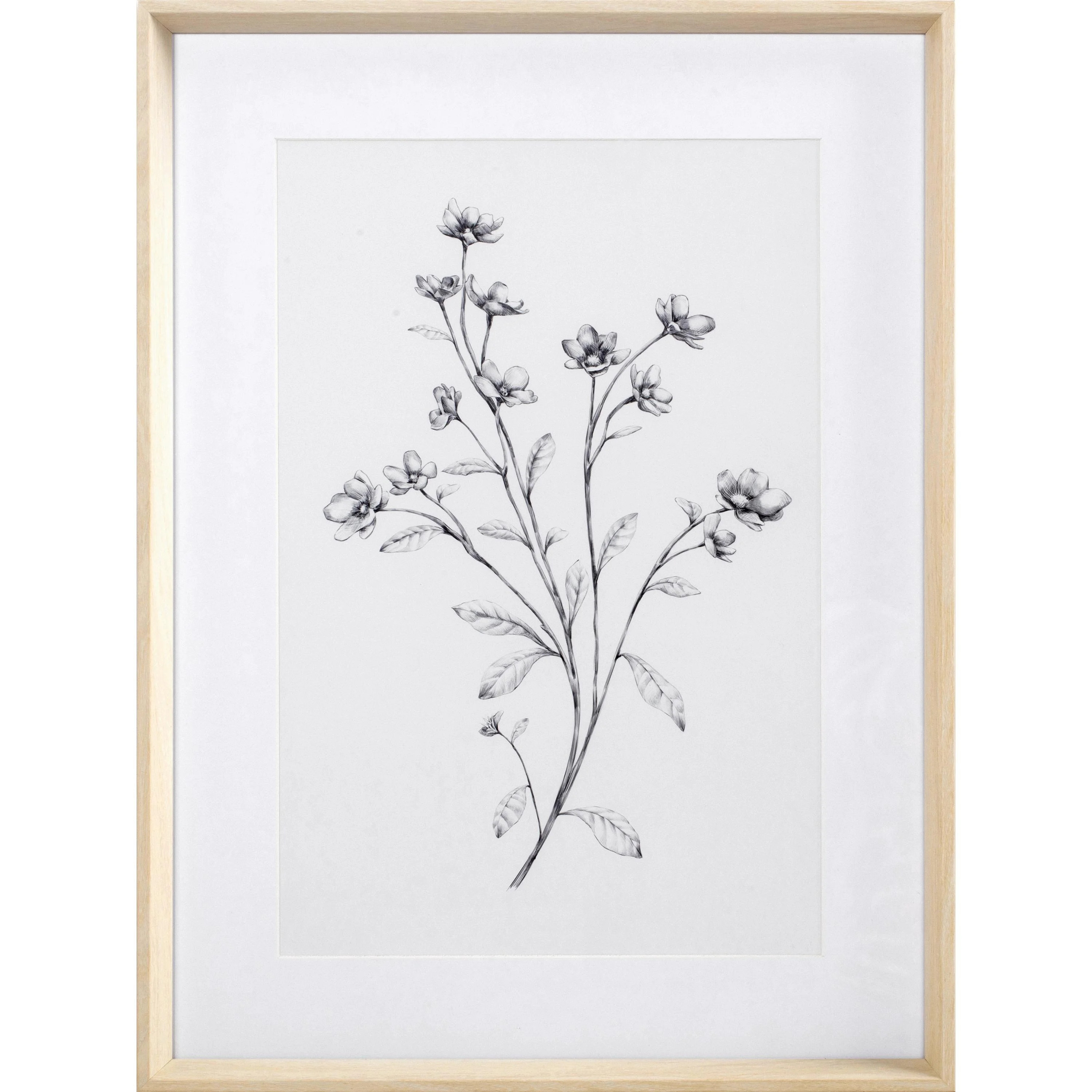 My Texas House Wild Daisy Spray Pencil Drawing Framed Art 24" x 30" | Walmart (US)