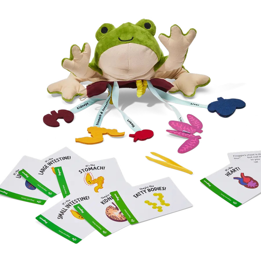 Froggie Dissection Lab | KiwiCo | KiwiCo