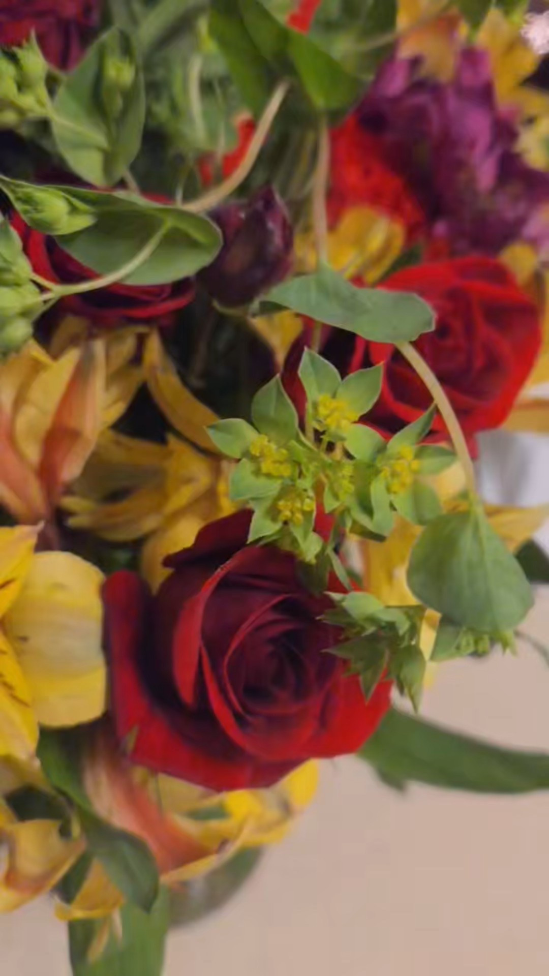 My honey gave me flowers on a Monday ❤️

#LTKgrwm #LTKU #LTKmomlife