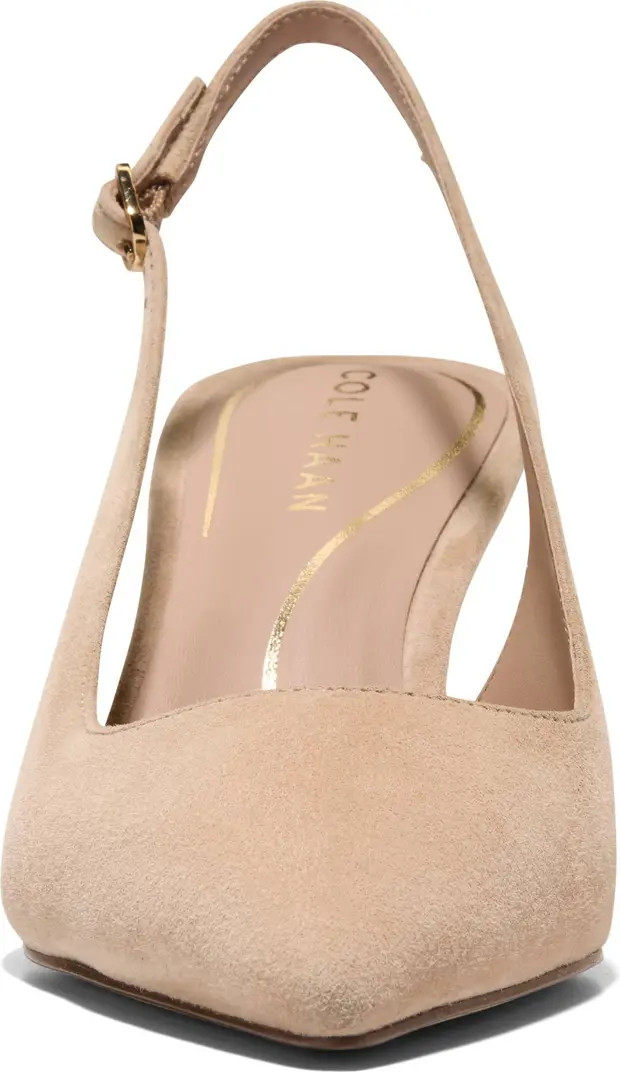 Hansell Slingback Pointed Toe Pump (Women) | Nordstrom