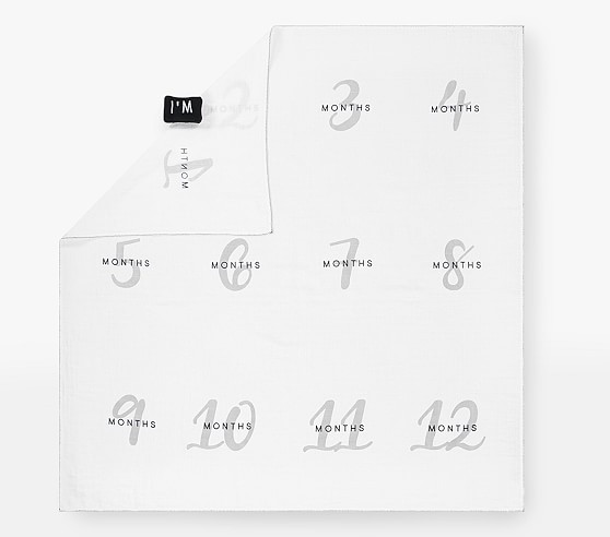Milestone Baby Blanket | Pottery Barn Kids