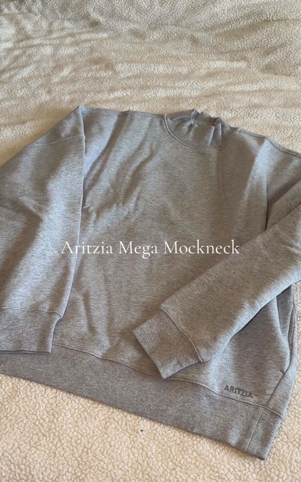 Aritzia Mega Mockneck 

#LTKStyleTip #LTKFindsUnder100 #LTKSeasonal