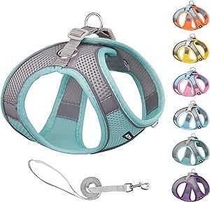 Amazon.com : AIITLE Soft Mesh Dog Harness and Leash Set for Walking - Step in Vest Harness,Reflec... | Amazon (US)