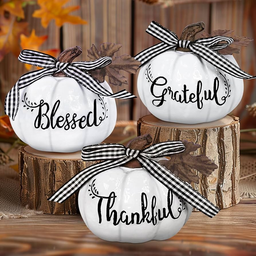TURNMEON Fall Decorations for Home Fall Pumpkin Decor Set of 3 Thankful Grateful Blessed Resin Ar... | Amazon (US)
