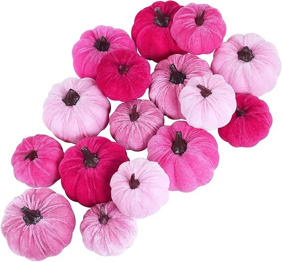 Set of 16 Faux Assorted Velvet Pumpkins Decorative Pink Fabric Pumpkins Foam Pumpkins for Farmhou... | Amazon (US)