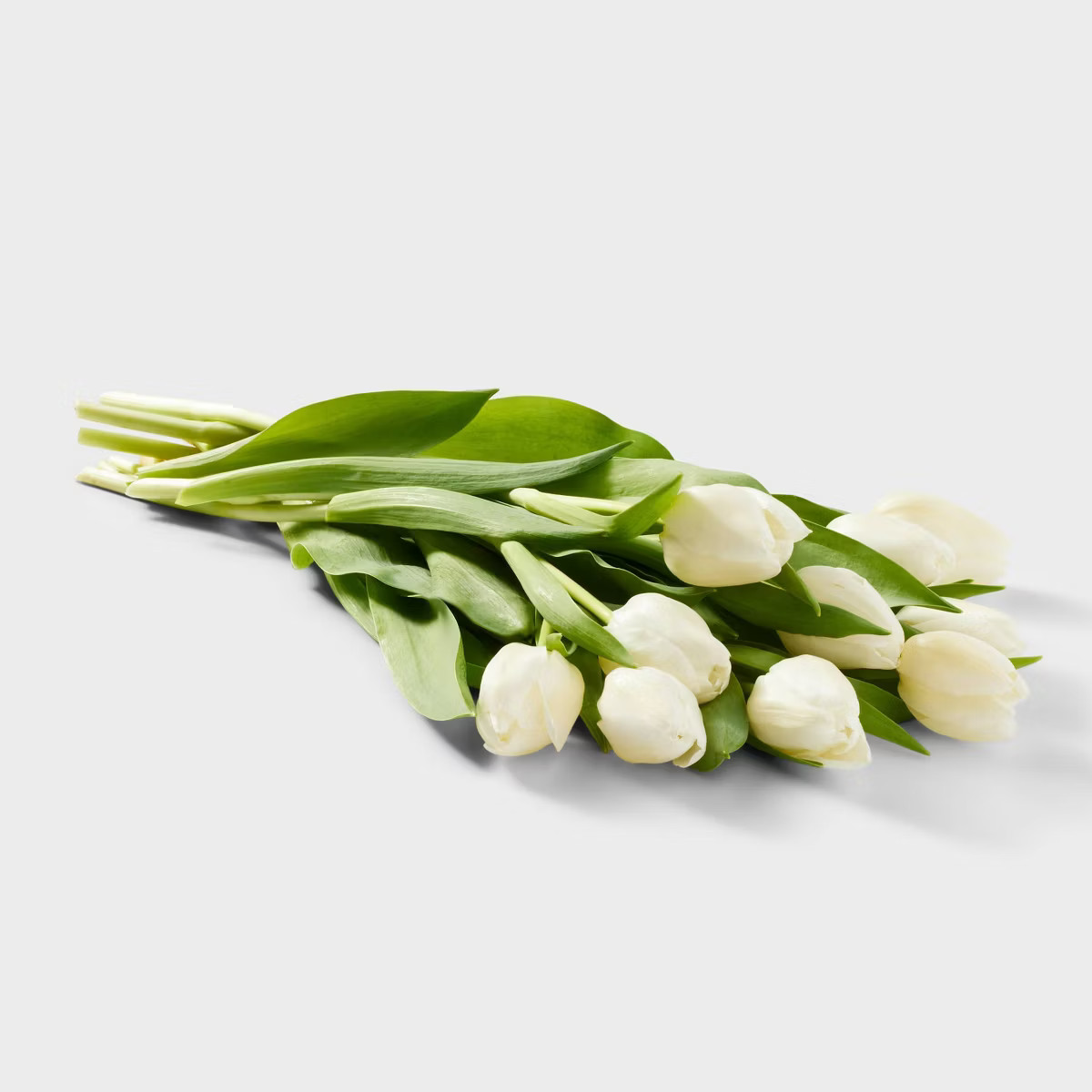 Fresh Cut 10-stem White Tulip Flowers - Spritz™ | Target