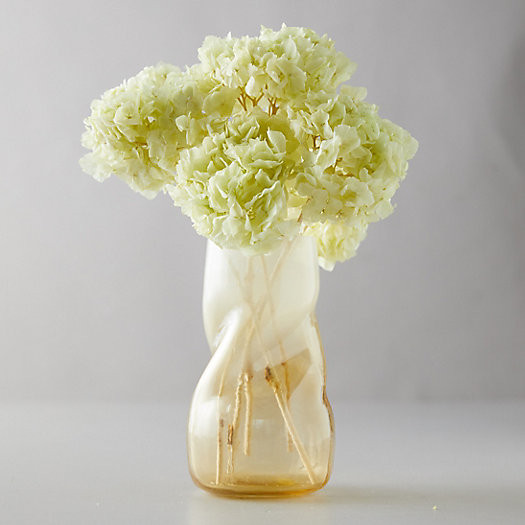 Preserved Hydrangea Bunch | Terrain