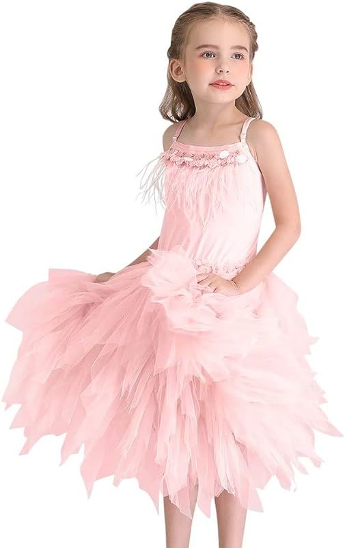 REXREII Baby Girls Feather Fringes Swan Princess Tutu Dress Prima Ballerina Costume Wedding Birth... | Amazon (US)