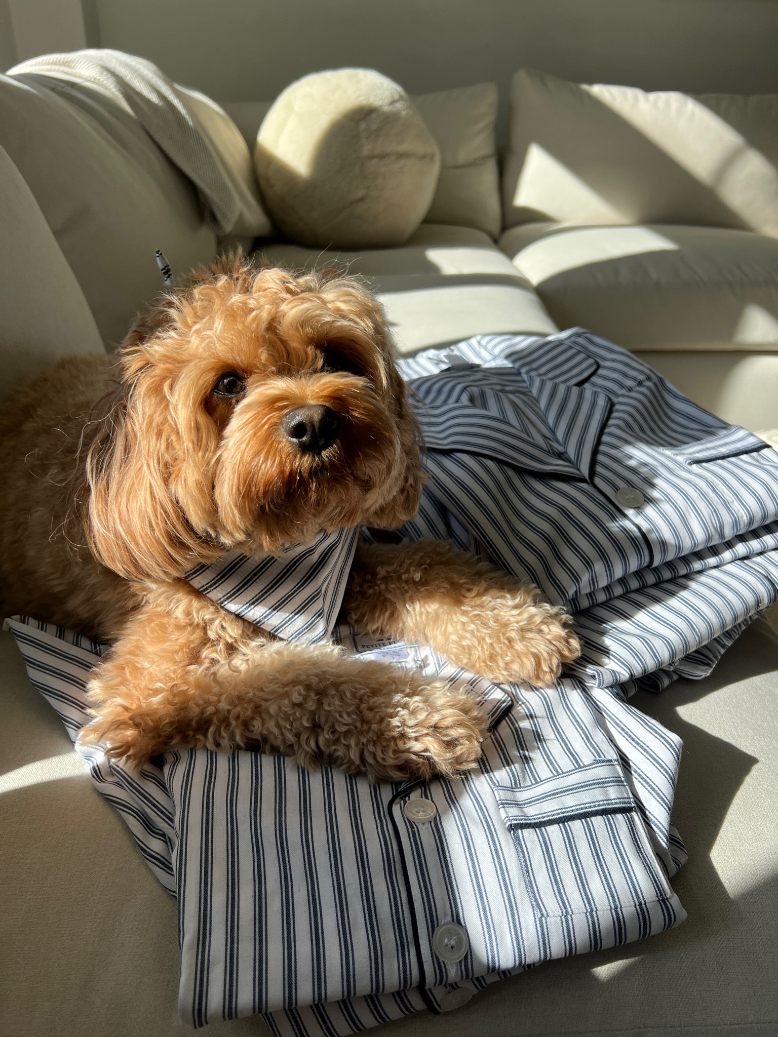 Favorite holiday matching PJ set and highest quality cotton 