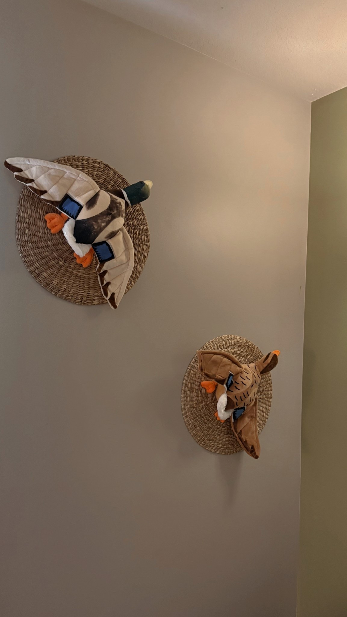 Baby boy nursery stuffed duck mounts 🦆

#LTKFamily #LTKBaby #LTKHome