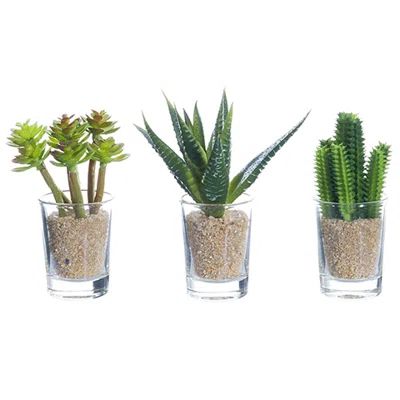 Cactus Plant in Decorative Vase | Wayfair North America
