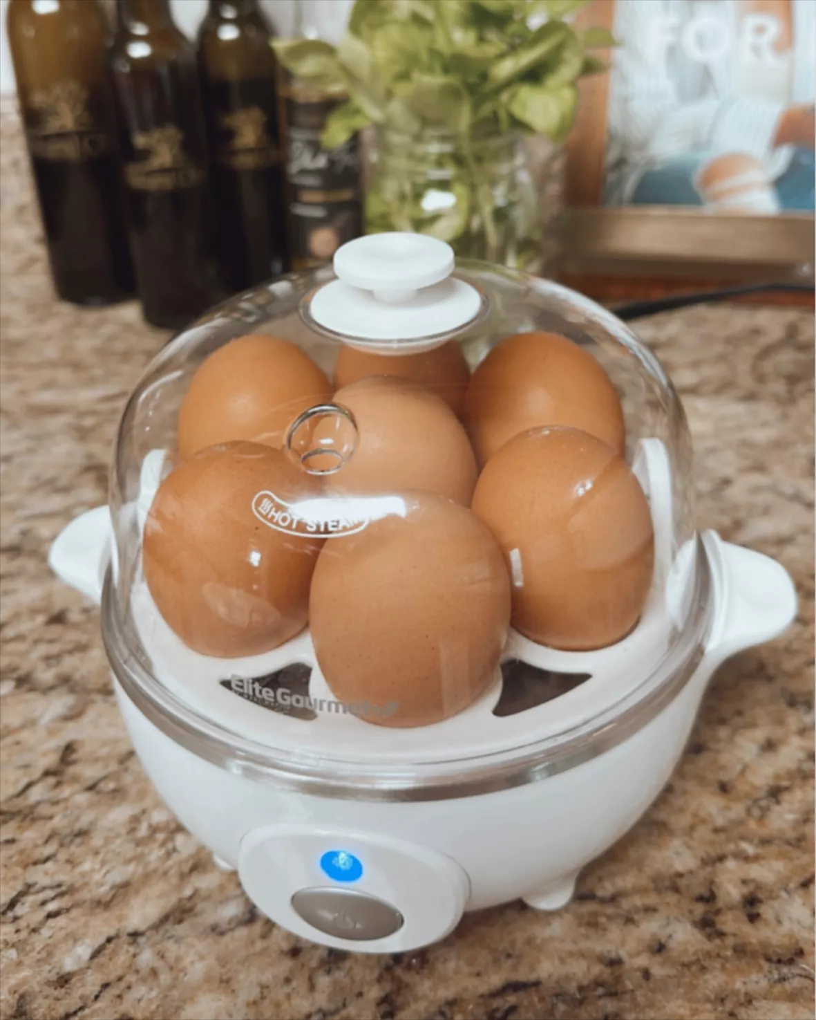 Elite Gourmet EGC-007 Rapid Egg … curated on LTK